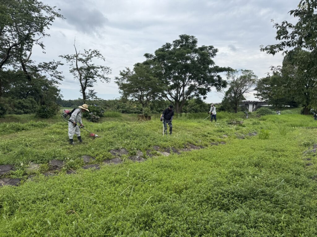 伐採状況

